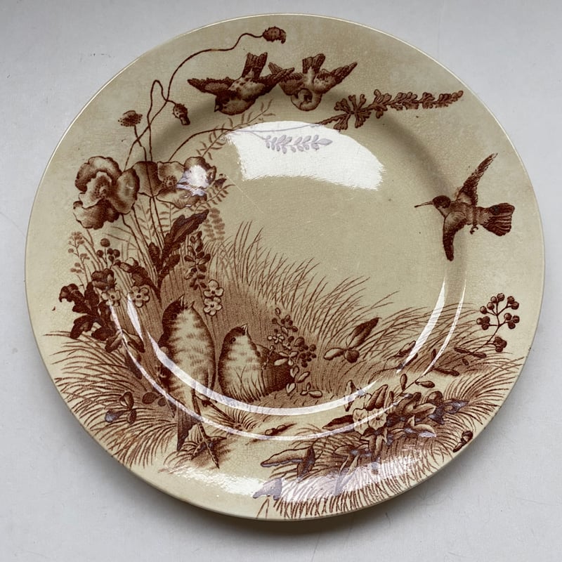 ヴィエイヤーボルドー ムスティエ ディナープレート H フランス