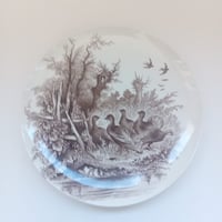 19世紀後半　サルグミンヌ　シルヴァ　プラ　シチメンチョウ柄