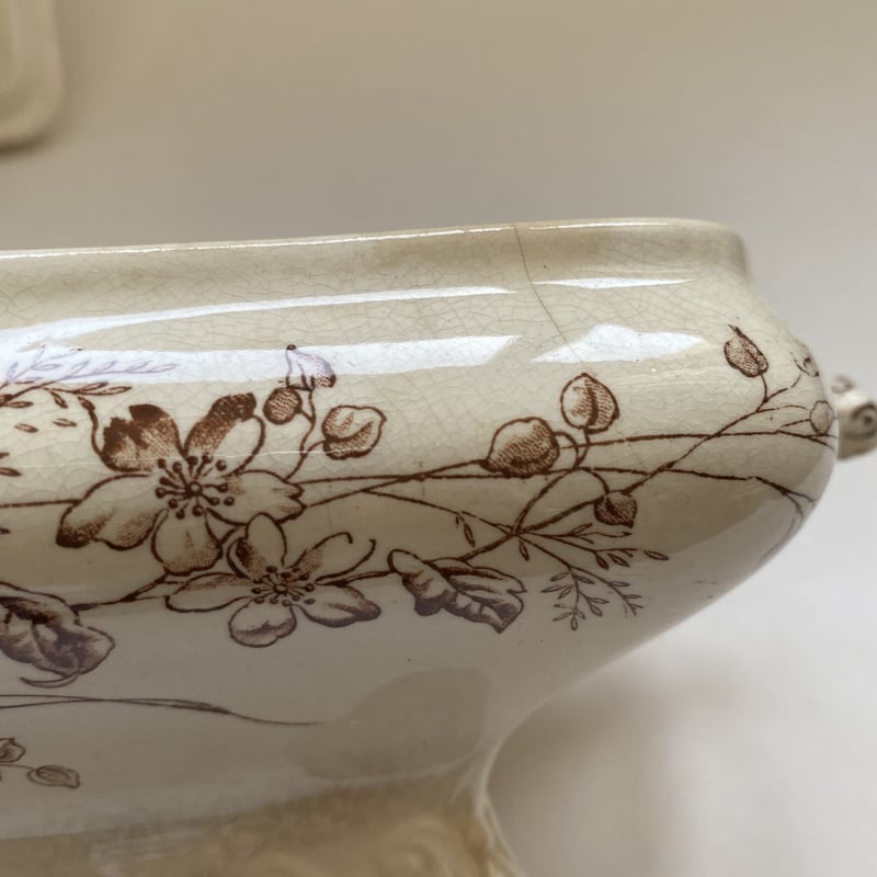 19世紀後半 イギリス製 WAA&Co パックス レギュミエ レクタングル