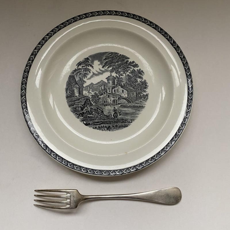 ウェッジウッド　ルガノ　ディナープレート　23cm カントリーウェア ウェッジウッド ルガノ ディナープレート 23cm カントリーウェア