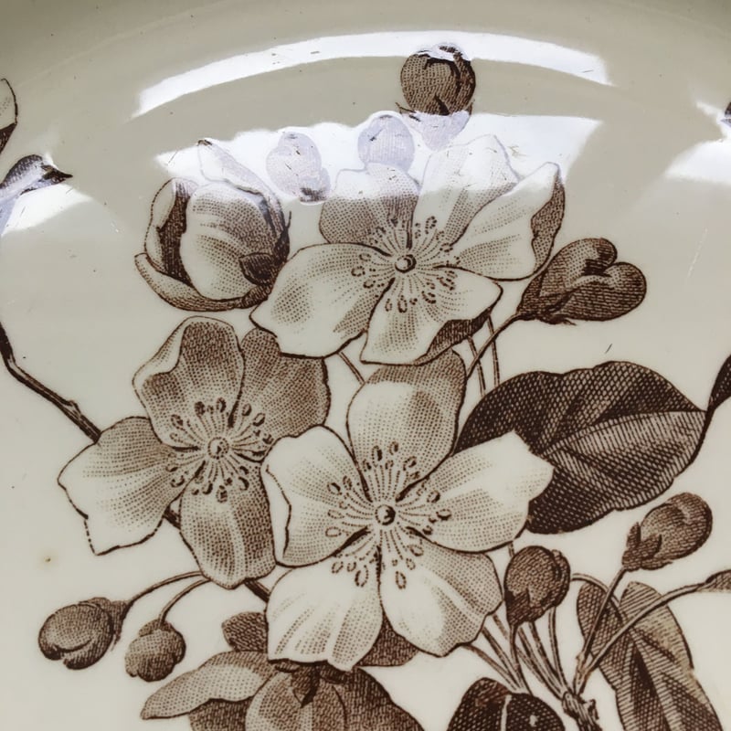 19世紀後半 クレイユ・エ・モントロー ポミエ プラ 大皿 | campagne à