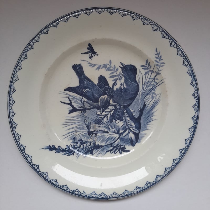 19世紀 刻印なし (ボルドー？) ディナー・プレート 小鳥柄