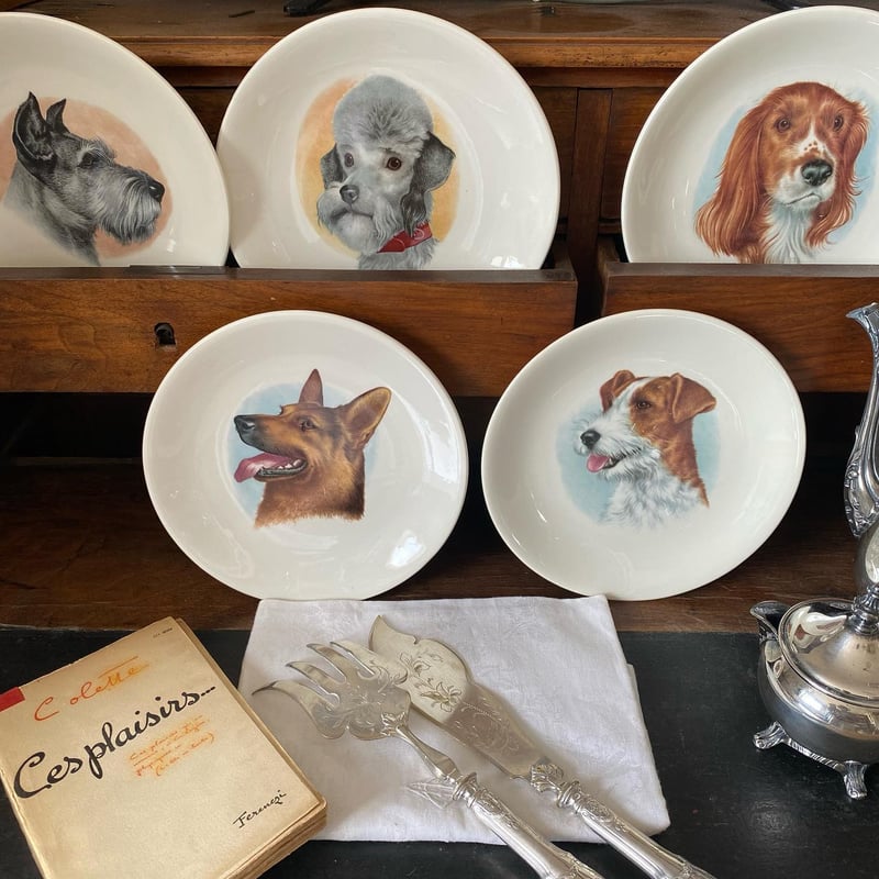 20世紀中期 ジアン おしゃべりなお皿 デザートプレート 犬の顔柄 1