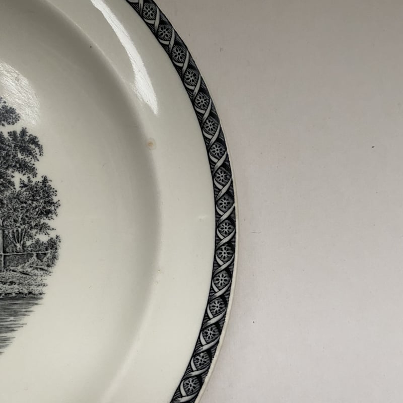 ウェッジウッド　ルガノ　ディナープレート　23cm カントリーウェア ウェッジウッド ルガノ ディナープレート 23cm カントリーウェア