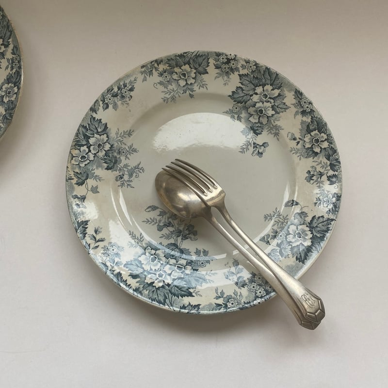 野バラのアンティークな雰囲気が素敵 サンタマン大皿 マリールイーズ サンタマン製マリールイーズ 野バラのコンポティエ