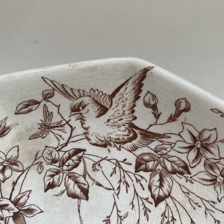 19世紀後半　イギリス製　WAA&Co    パックス　コンポティエ　キャレ　小鳥と小花柄　ブラウン