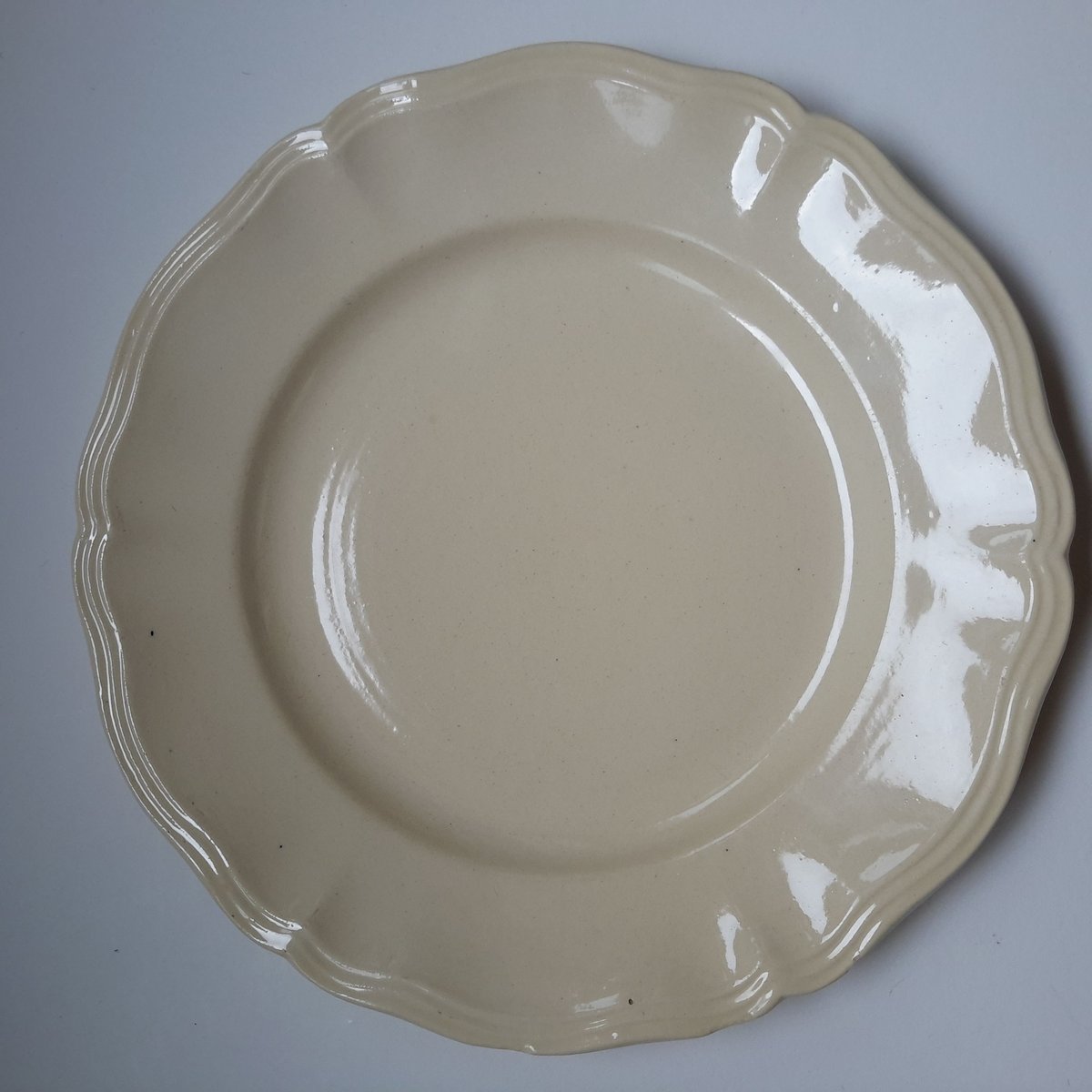 1920年代 サルグミンヌ 花リム ディナー・プレート 平皿 23cm B