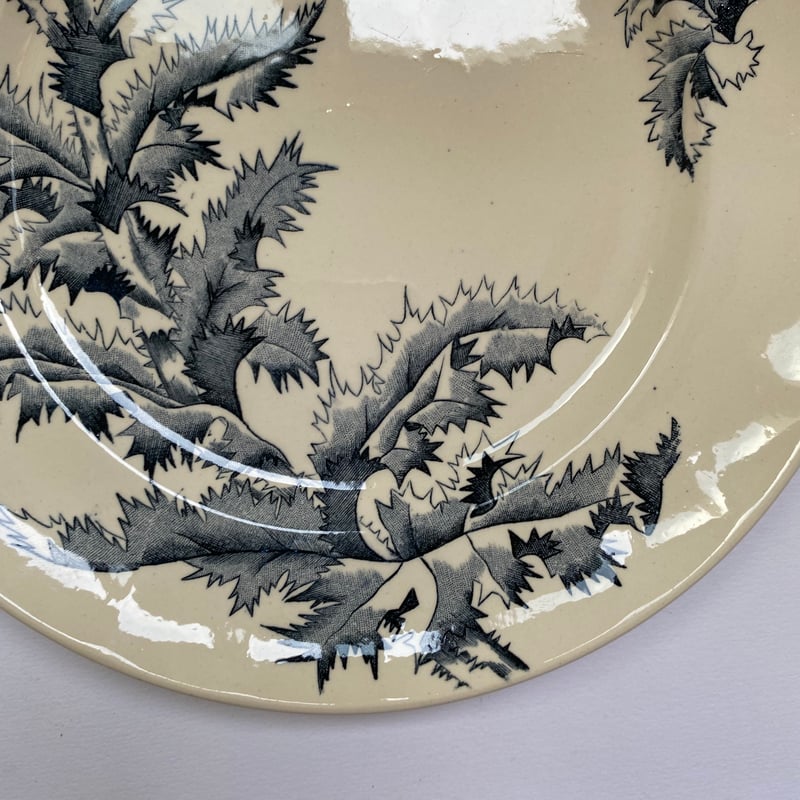 19世紀後半 ロンシャン シャルドン ディナープレート アザミ柄 1−4