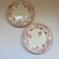 19世紀後半　リュネヴィル　セレス　ディナープレート　ルージュ　Bランク　２点セット