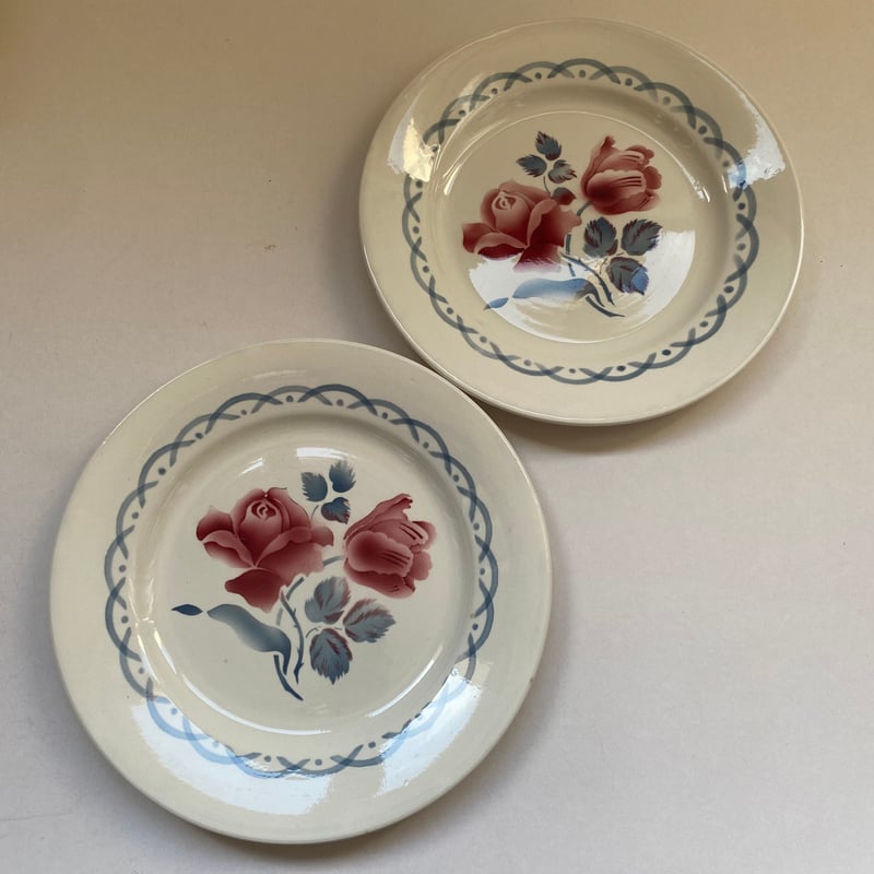 ディゴワンサルグミンヌ　ブルーローズ　ディナープレート　23cm 2枚組 ディゴワンサルグミンヌ ブルーローズ ディナープレート 2枚セット