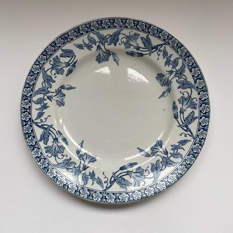 イギリス19世紀後半頃の ハンドペイント絵皿 B