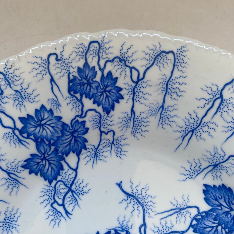 19世紀中期 クレイユ・エ・モントロー ディナープレート リエール