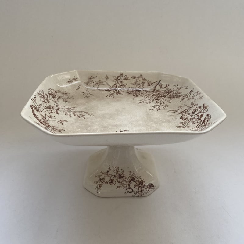 19世紀後半 イギリス製 WAA&Co パックス コンポティエ キャレ 小鳥と