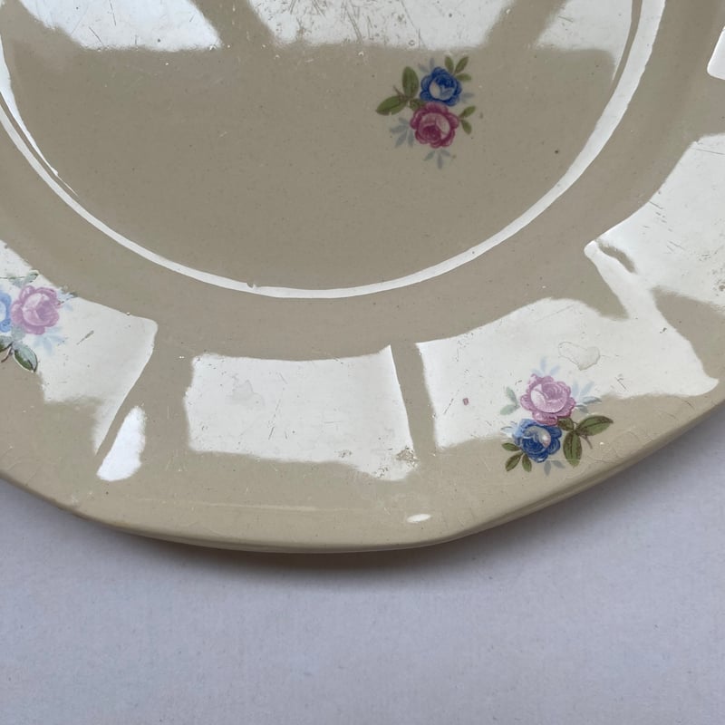 1920年代 ディゴワン・サルグミンヌ 9145 ディナープレート