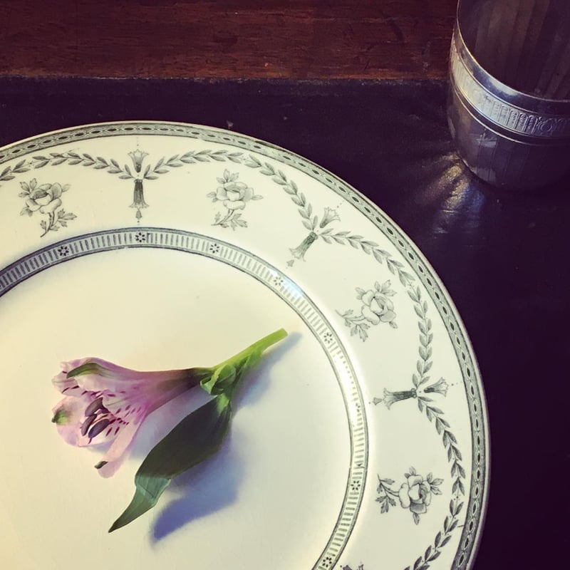イギリス アンティーク　ミントン  薔薇と蝶とカマキリ 飾皿
