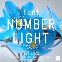NUMBER LIGHT font（ナンバー ライト フォント）