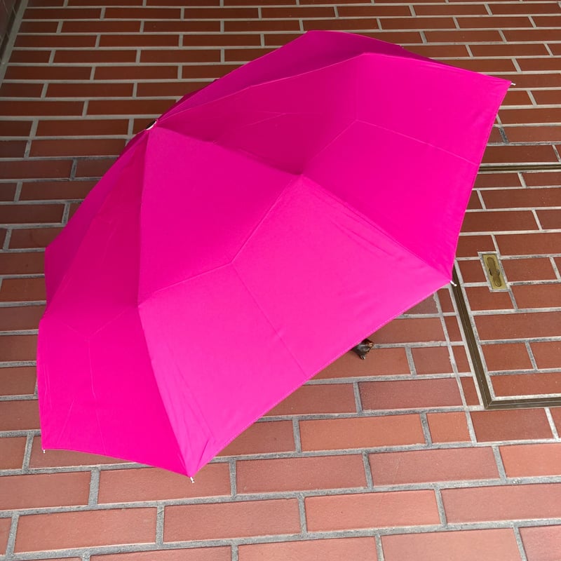 Guy de Jean ギドゥジャン 折りたたみ傘 | Havane