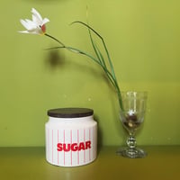 Horsea Pottery SUGAR ポット
