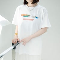 Circle T