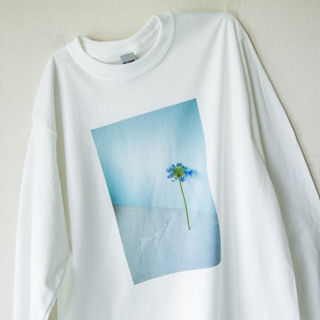 pool オリジナルフォトロンT　青い花