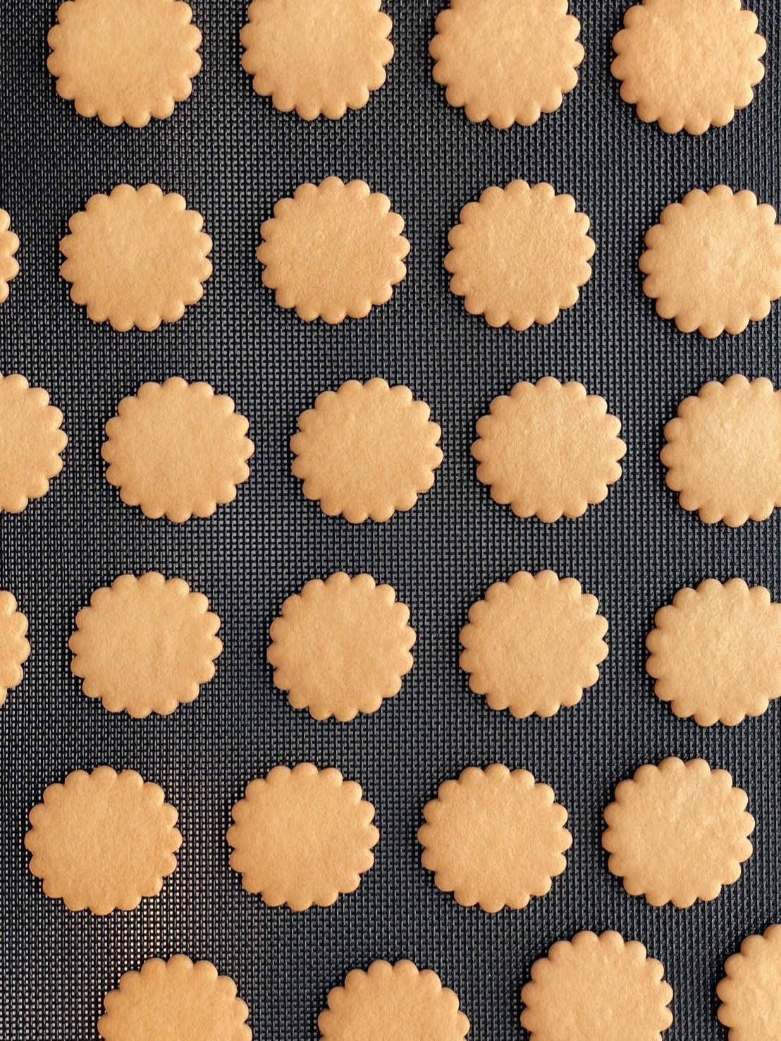 シェリーメゾンドビスキュイ ビスキュイナチュール2缶 トートバッグ S⭐︎新品 オンラインショップ of CHÉRIE MAISON DU BISCUIT/ 京都