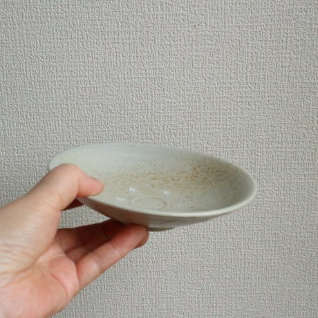 堅手4.5寸皿 / 高木剛