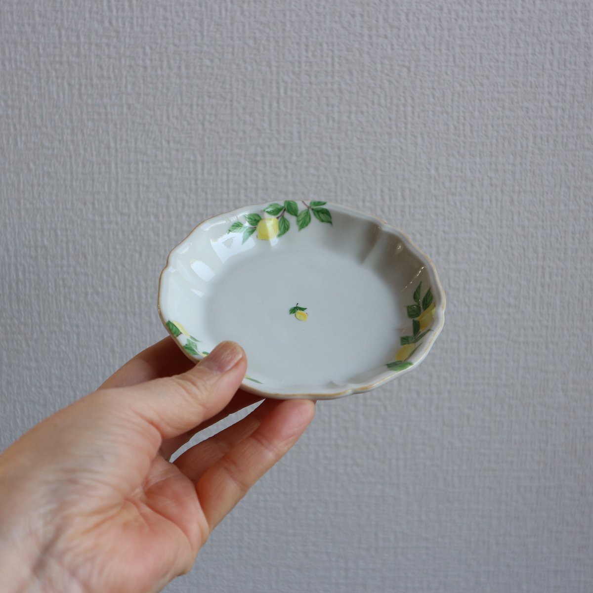 花形深まめ皿（檸檬）/ 阿部慎太朗 | モノスタイル . shop