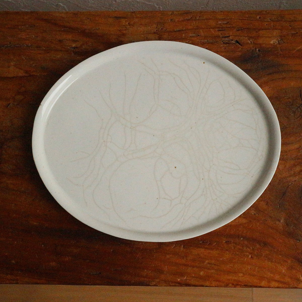ショートリム楕円皿中 / 菅沼淳一 | モノスタイル . shop