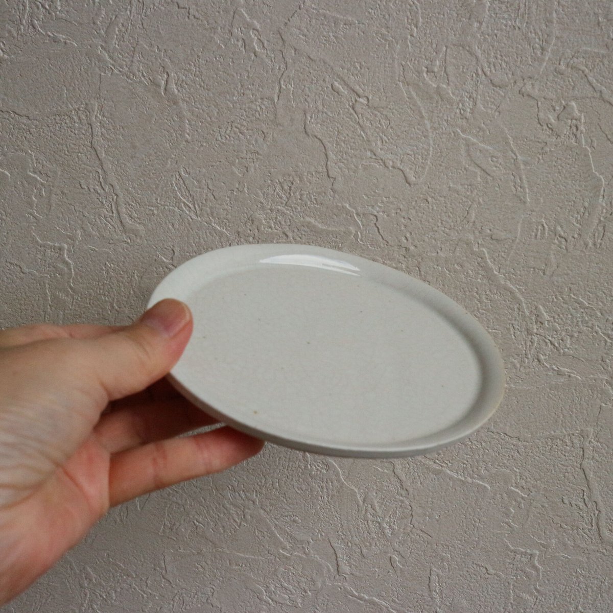 菅沼淳一さんのショートリム皿　貫入プレート12枚まとめて　作家もの 菅沼淳一さんのショートリム皿 貫入プレート12枚まとめて 作家