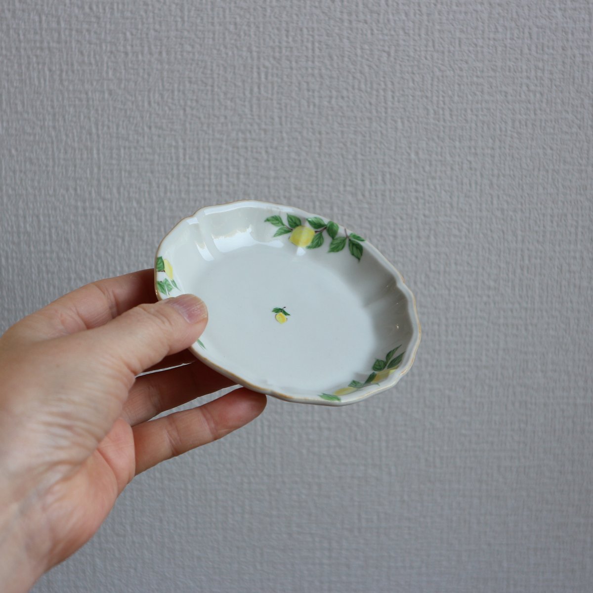 花形深まめ皿（檸檬）/ 阿部慎太朗 | モノスタイル . shop