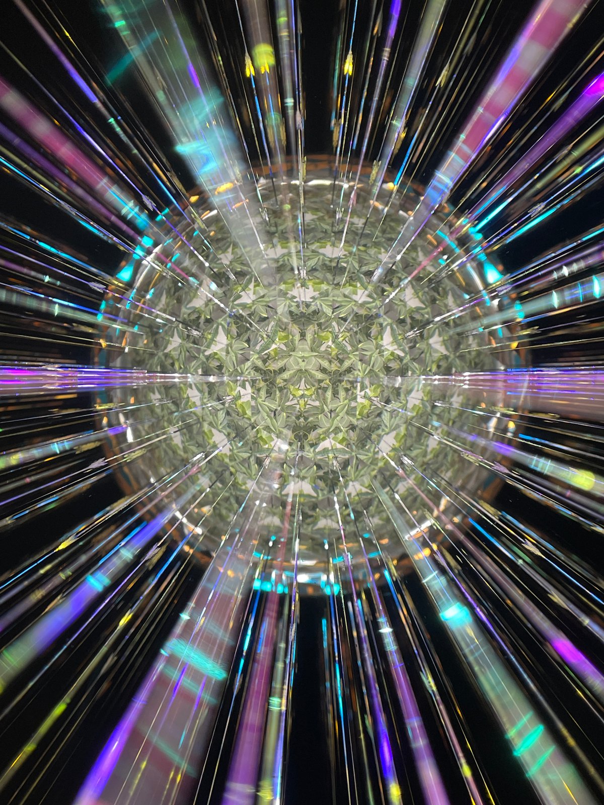 スワロフスキー万華鏡 SpaceTeleido | 万華鏡 Little Bear