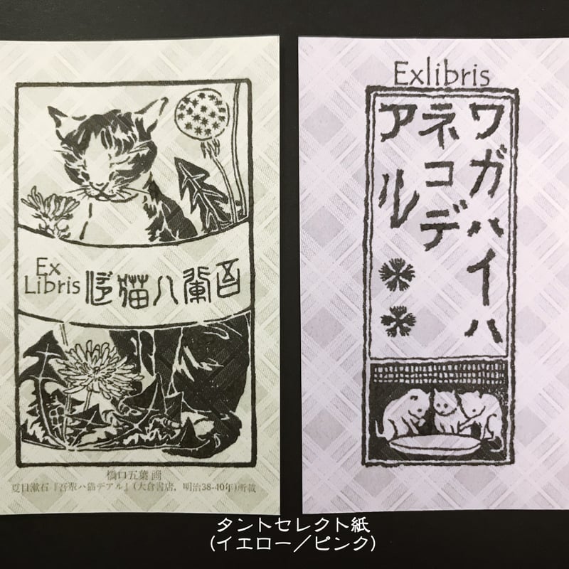 我輩は猫ページ 51GZI1BLxbL._AC_SY200_QL15_.jpg