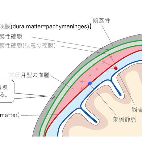 ESPRESSO頭部救急画像診断【本編】