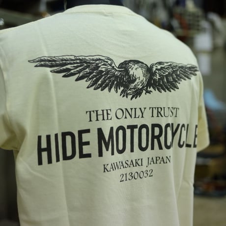 EAGLE-T