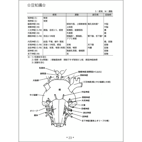 ごろごろPOT　第2版