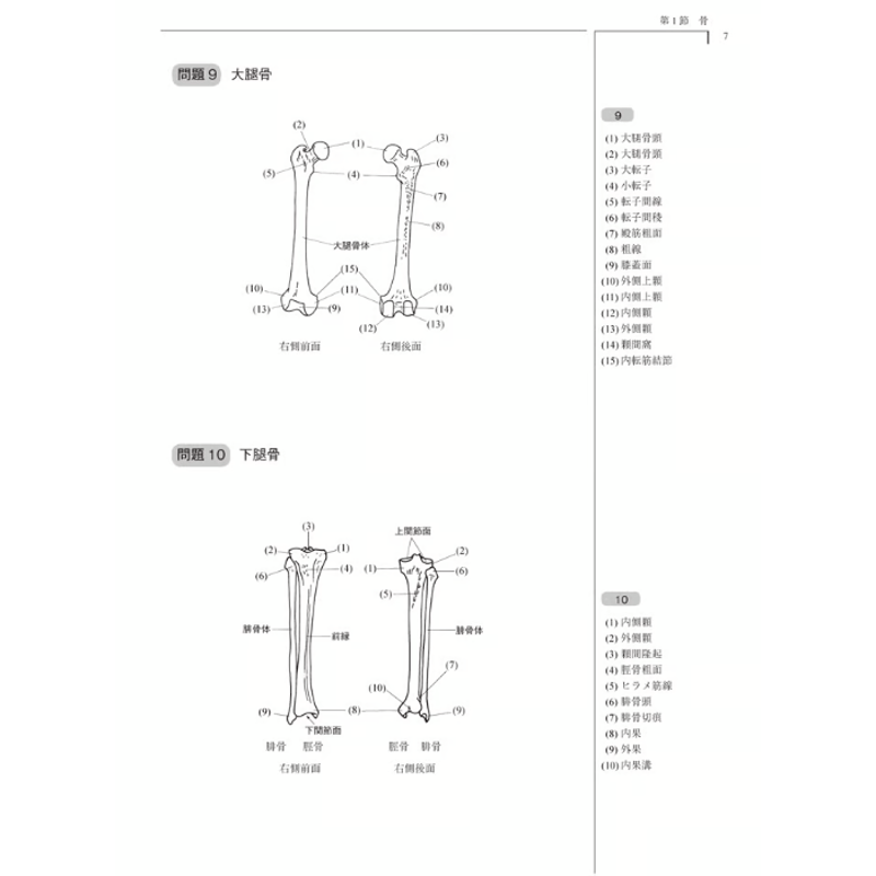 運動解剖生理学ワークブック 第2版 | アイペック Book Store