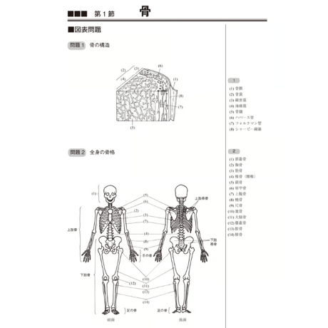 運動解剖生理学ワークブック　第2版