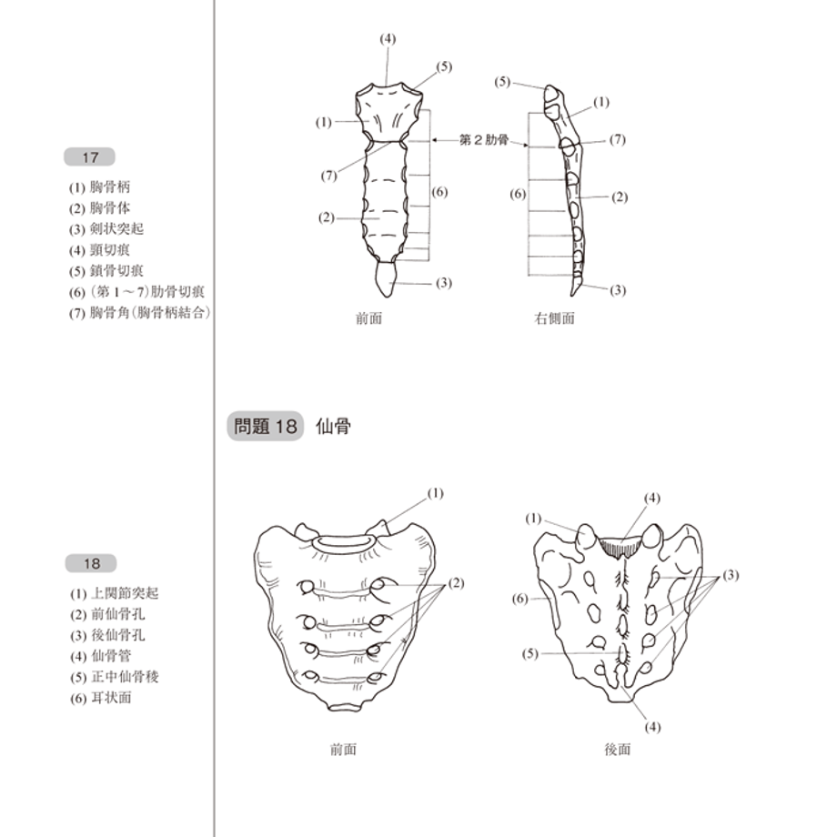 5b90e46ce8db4137f3000036