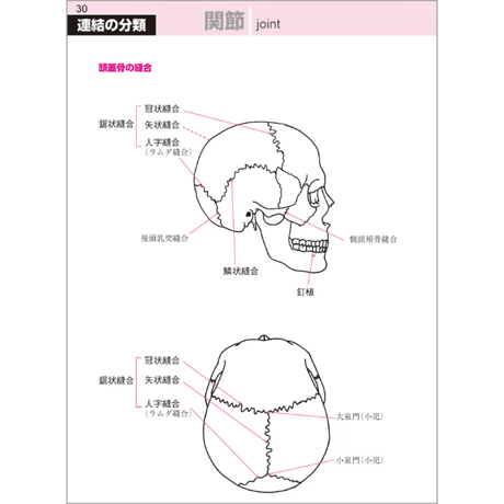 こう読む基礎単　解剖生理学編　第5版