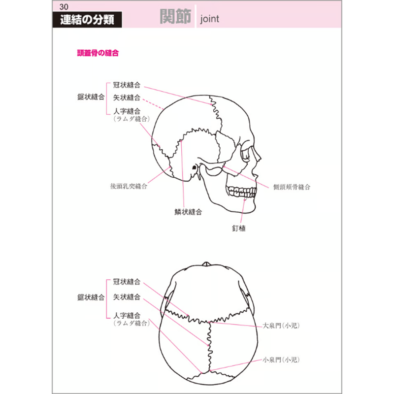 病理学 遺伝学 生化学 解剖生理学 技術教本 Amazon.co.jp: 人体の構造と機能及び疾病の成り立ち 栄養解剖