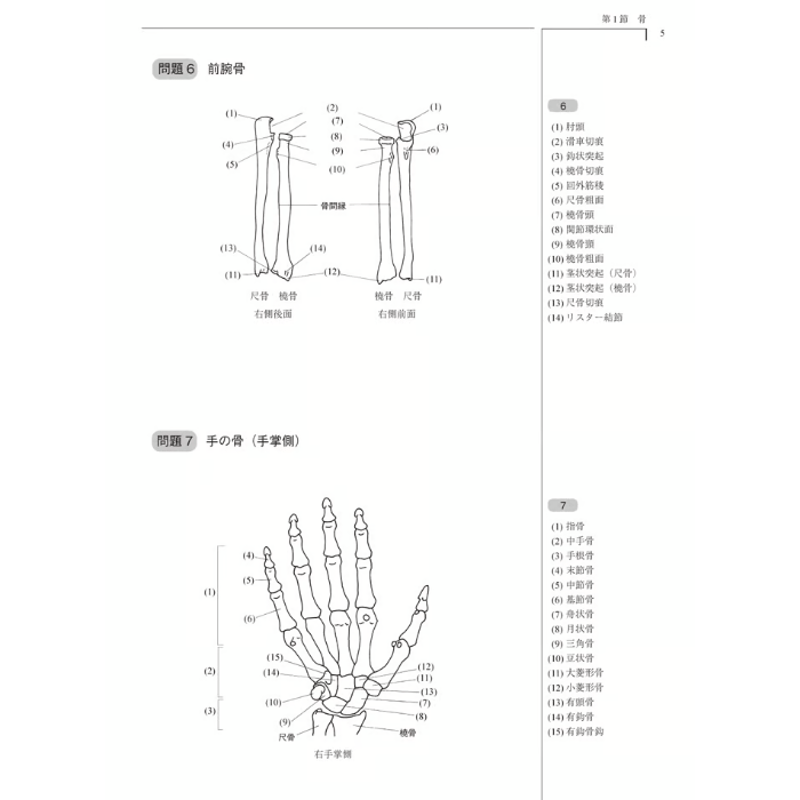 理学療法士 作業療法士 運動学 解剖学 小児科学 生理学 神経内科学 第5版 - 健康/医学