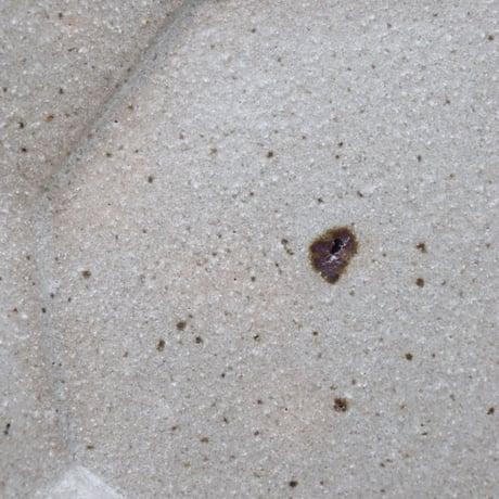 柏井 羊　八角皿