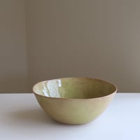 藤本羊子　きみどりボウル