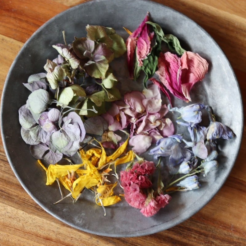 sanflowerおまとめ Shunbun under different lighting conditions(details in