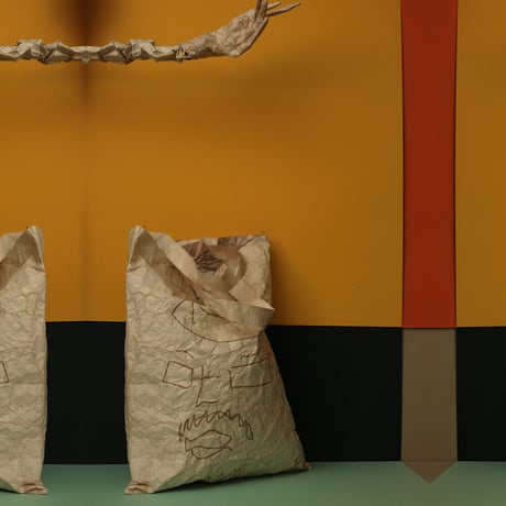 LIGHT_BAG（かあるいトートバッグ）FACE