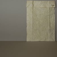 LIGHT_ENVELOPE（かあるい平袋）ライム