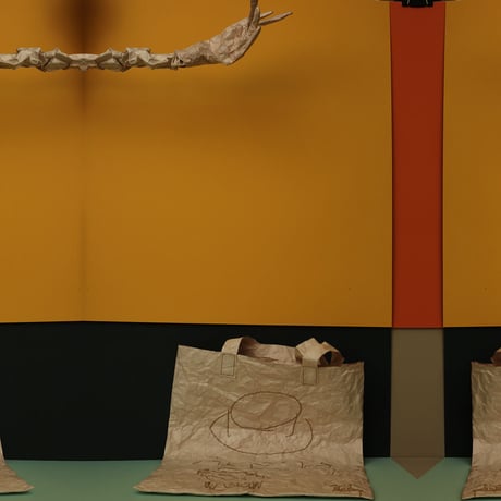 LIGHT_BAG（かあるいトートバッグ）FACE