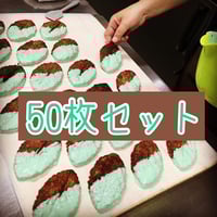 KAIEA FLAVORS チョコミントサンド 水 2体セット KAIEA FLAVORS チョコミントサンド 水 2体セット KAIEA FLAVORS