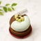 【冷凍】チョコミントタルト