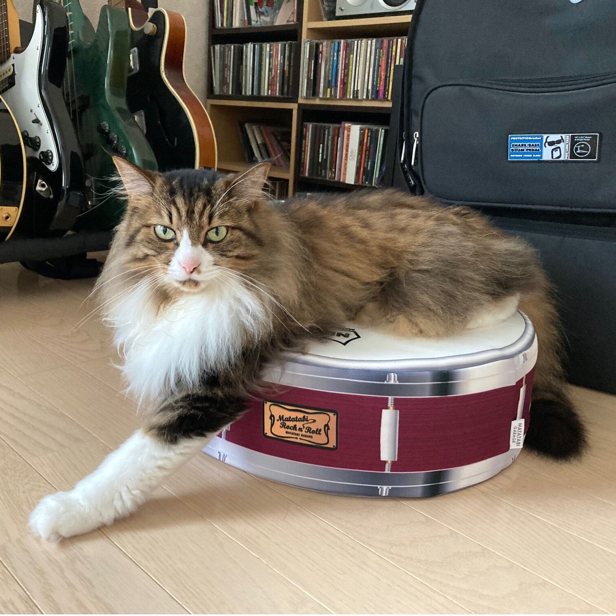 またたびロックンロール スネアドラム（クッション） | MATATABI GARAGE